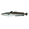 pescada-acores