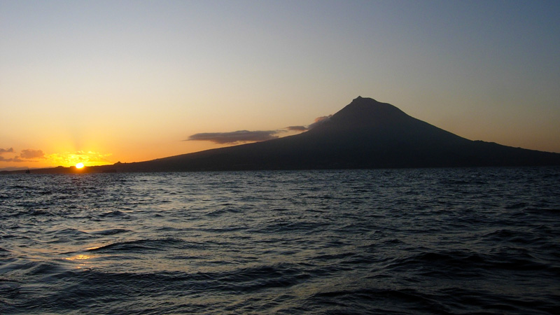 Pico